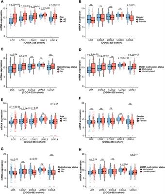 Identification and validation of roles of lysyl oxidases in the predictions of prognosis, chemotherapy and immunotherapy in glioma